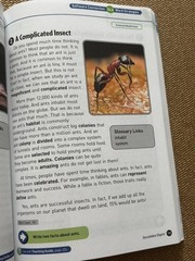 System 44 Book, Decodable Digest, scholastic, 286 pages
