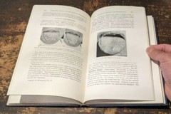 Periodontia, by Edgar D. Coolidge, Maynard K. Hine, Lea & Febiger, 1954-384pages
