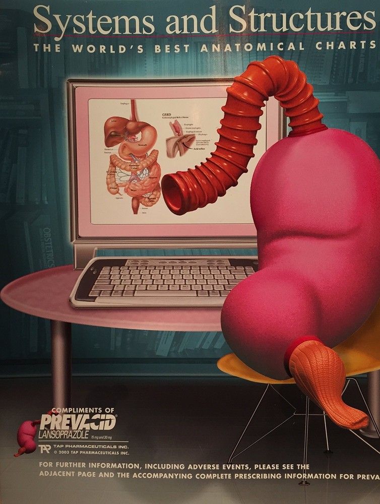 Systems & Structures : The World’s Best Anatomical Charts Collection