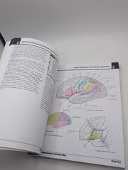 Netter’s Neuroscience Coloring Book with CODE READ