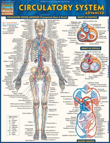 Circulatory System: Advanced by Vincent Perez: New