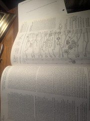 Physiology Coloring Book, The