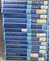 DICTIONARY OF LITERARY BIOGRAPHY Lot Of 28 Hardcover Ex-Library Books