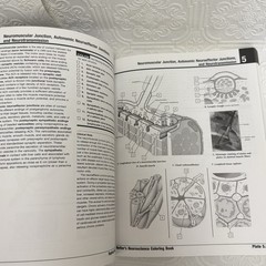 Netter Basic Science Ser.: Netter’s Neuroscience Coloring Book by Mary Summo…