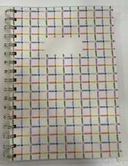 Gartner Studios 2 Pack Notebooks, New, 200 pages, 6×8.5
