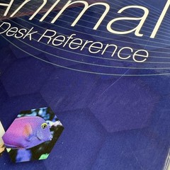 1st Edition Essential Oils Animal Desk Reference EODR Spiral Bound Text Book HTF