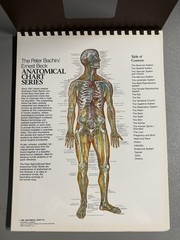 THE ANATOMICAL CHART SERIES: Full Size Desktop Easel by Bachin & Beck (1985) VG