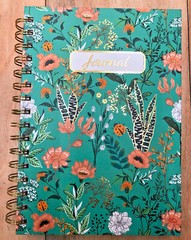 2xPage Publications Notebook Journal college lined Twin-Wire Spiral Bugs Flowers