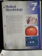 Microbiology Laboratory Theory and Application 2nd Ed Leboffe Pierce PB