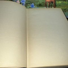 Vintage Book University Casebook Series Cases On Taxation Fourth Edition 1947