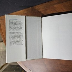 Intelligence The Eye the Brain and the Computer 1987 Reprint Hardcover DJ VTG