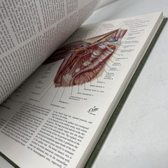 The CIBA Collection of Medical Illustrations Volume 8 Frank H. Netter
