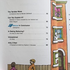 Inroads Macmillan Reader Level 34 Homeschool Vintage 112 Pages