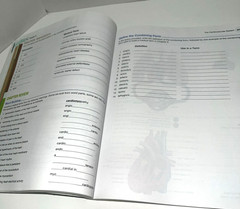 Medical Terminology Complete! – Paperback, by Wingerd – Very Good (No Writing)
