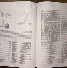 ASM Press Bacterial Pathogenesis: A Molecular Approach 4th Ed HC 2019 Wilson