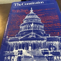 The Constitution Currie Stevos Addison Wesley Paperback American Government
