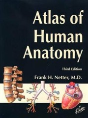 Atlas of Human Anatomy, Third Edition – Paperback By Frank H. Netter – GOOD
