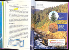 3rd Grade – Scott Foresman SCIENCE (STUDENT TEXTBOOK) (2006, Pearson)