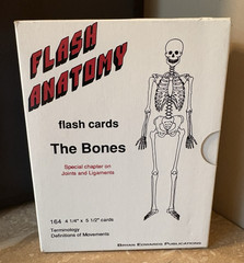 Flash Anatomy The Bones 164 Card Complete Set Box Terminology Movement