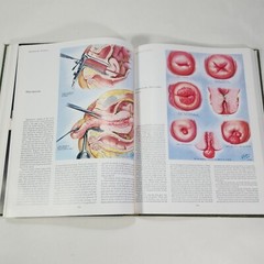 Ciba Medical Illustrations Reproductive System Vol 2 Frank Netter Book 1984 HC