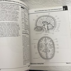 Netter Basic Science Ser.: Netter’s Neuroscience Coloring Book by Mary Summo…