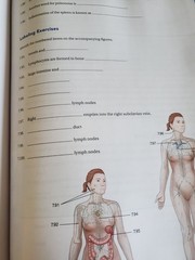 NEW Cengage Comprehensive Medical Terminology for Health Professions 9thEd.