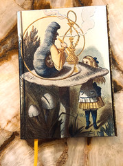 FLAME TREE NOTEBOOKS- British Library Tenniel: Alice-FOILED JOURNAL -NEW