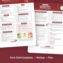 The Essential Family Nurse Practitioner Guide