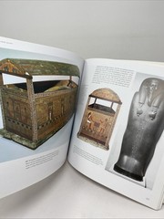 Art of Ancient Egypt : Revised Edition Gay Robins 2008 Paperback FREE SHIPPING!