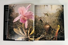 Endless Forms by Charles Darwin, Natural Science & the Visual Arts Hardback Book
