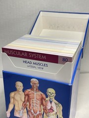 Anatomy Flash Cards QuickStudy 14 Systems 300 Cards W/Box Educational Preowned