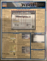 Word 2000 Staff BarCharts Inc Quick Study Computer Ultimate Reference Software