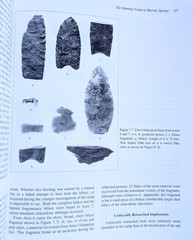 Murray Springs: A Clovis Site with Multiple Activity Areas, San Pedro Valley AZ