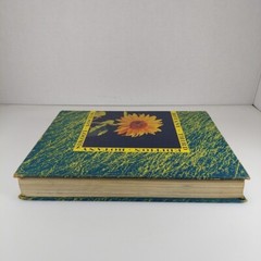 Botany 3rd Edition by Wilson & Loomis 1962 Holt, Rinehart And Winston Illustr HC