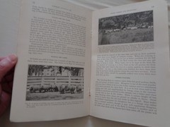 Farm Sheep Raising for Beginners by Marshall Millin 1917 Farmers Bulletin 840 US