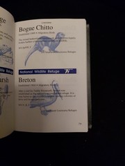 Blue Goose Passport : First Edition by Lee Cook and Marvin Cook (1999)