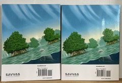 Grade 4 Envision Mathematics 2020 Common Core Student Edition Volumes 1 & 2