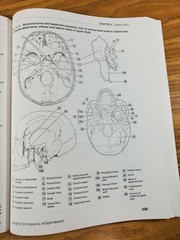 Dental Anatomy Coloring Book (2018, Trade Paperback) 3rd Edition