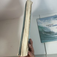 Conceptual Physics Fundamentals Paul G. Hewitt and lab manual Bill wright