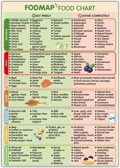 Fodmap Chart Fridge MagnetFodmap Diet Guide ListHigh Fodmap List Meal Prep Gro