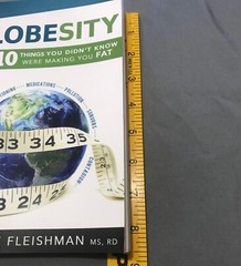 Globesity by Clare Fleishman – 297 Pages – 2013 – Weight Management Book