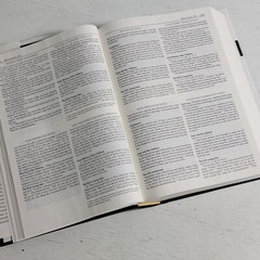 THE CATHOLIC COMPARATIVE NEW TESTAMENT By Oxford University Press Hardcover EUC