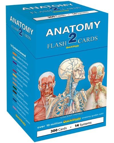Vincent Perez Anatomy 2 Flash Cards (300 cards) (Cards)