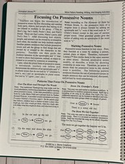 The Animated Literacy Pattern Reading & Singing Activities Book Jim Stone 1999