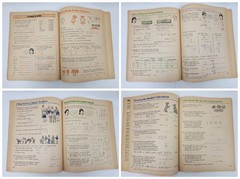 The Sadlier Mathematics Program Problem Solving Teacher’s Annotated Edition 1975