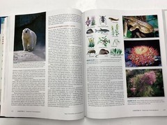 Environmental Science: A Global Concern 13th Ed Cunningham (2015, HC) Textbook
