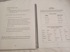 All Things Fun and Fascinating by Lori Verstegen (Spiral)