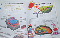 Comic Format Physics & Chemistry – Weird & Wacky Research Institute Doris Walton