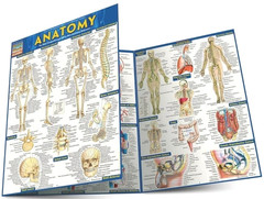 NEW QuickStudy | Anatomy Laminated Tri-Fold Study Guide *SALE $3* FAST SHIPPING!