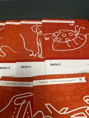 CKLA Amplify Skills Workbooks 1-10 Kindergarten Knowledge 1-12 Student Workbooks